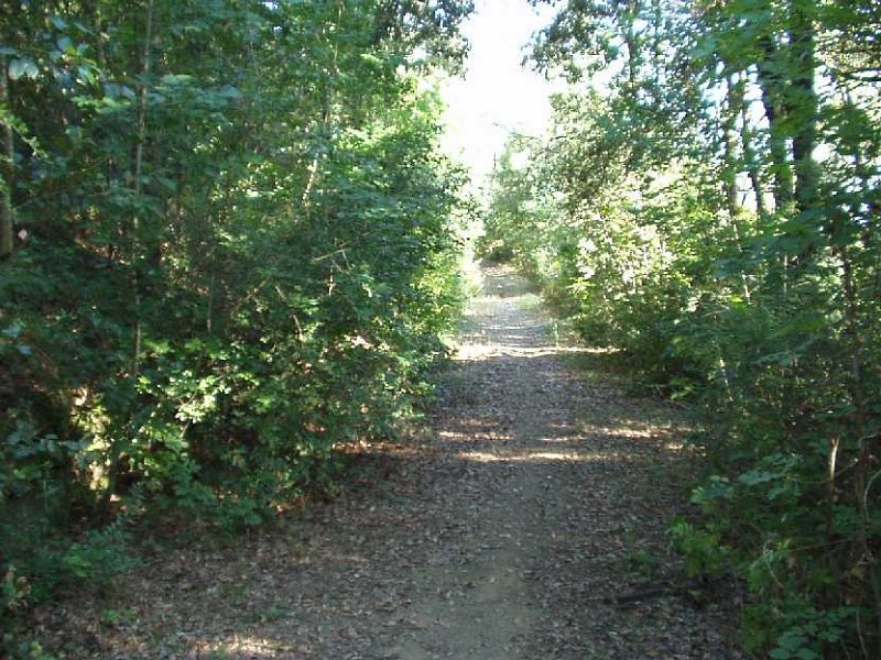 C26 Sentiero.JPG - STRADA STERRATA VERSO CIMA ROVETA